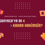 gonyaca-ne-kadar-hakimsin-cover