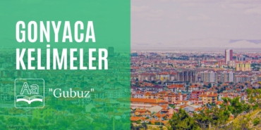 gubuz-ne-demek