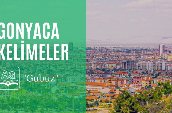 gubuz-ne-demek