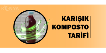 karisik-komposto-icecek