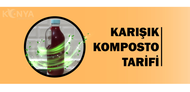 Ramazan’da içinizi ferahlatacak karışık komposto tarifi