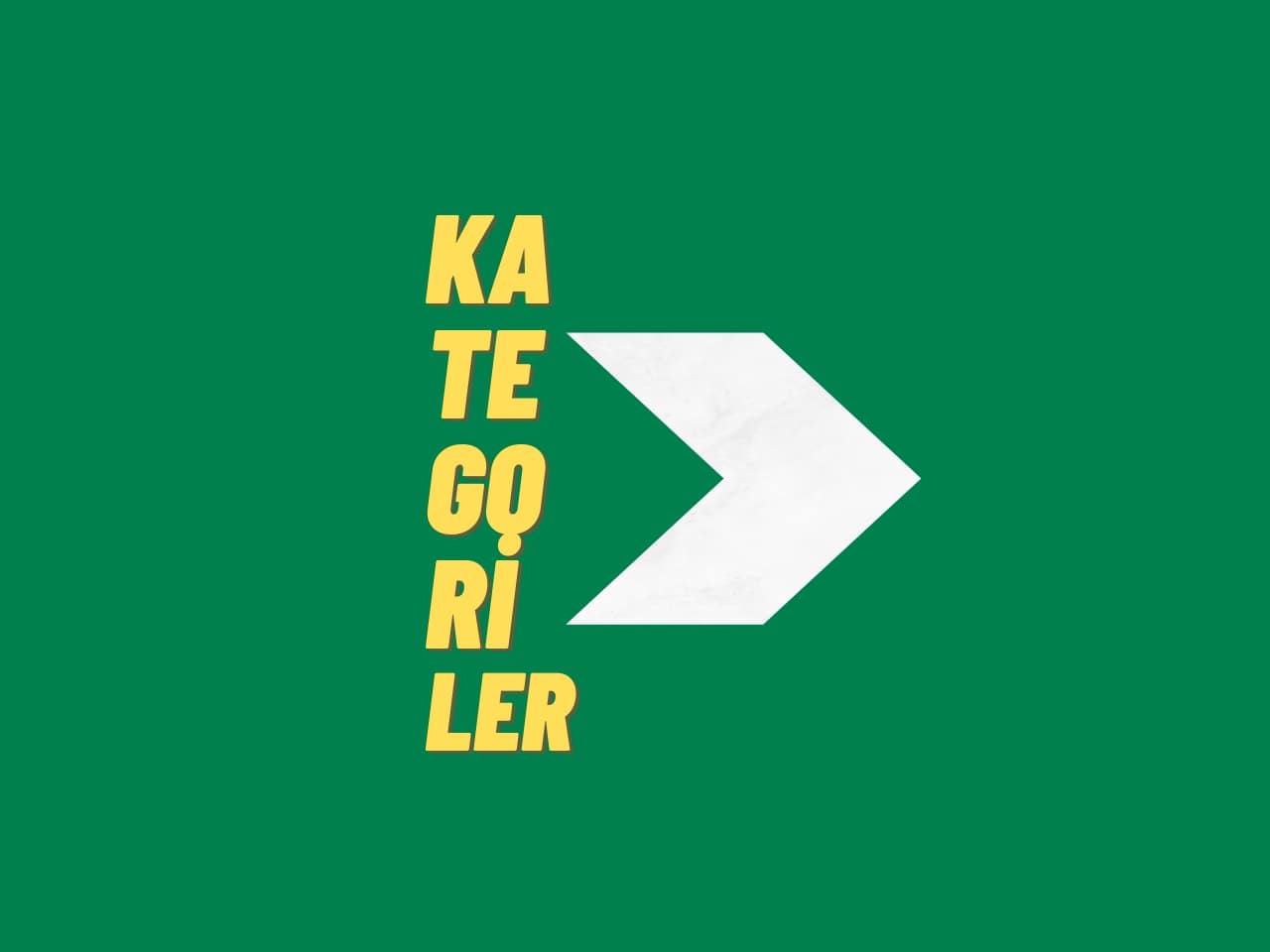 Kategoriler