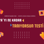 konyayi-ne-kadar-taniyorsun