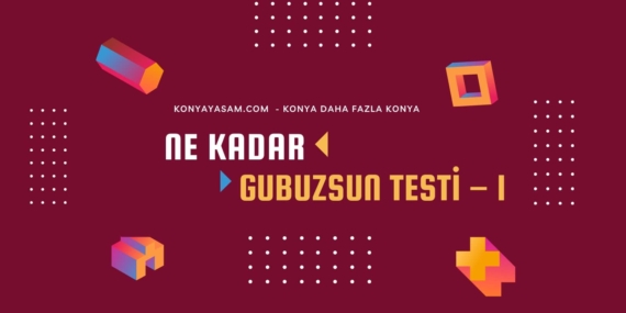 ne-kadar-gubuzsun-testi1-cover