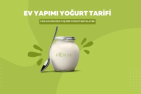 ev-yapimi-yogurt-tarifi-konya-yasam-cover