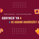 gonyacaya-ne-kadar-hakimsin-2
