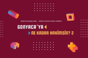 gonyacaya-ne-kadar-hakimsin-2